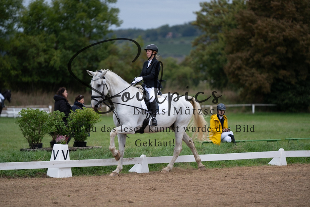 A7V04985 | Pferdefotograf