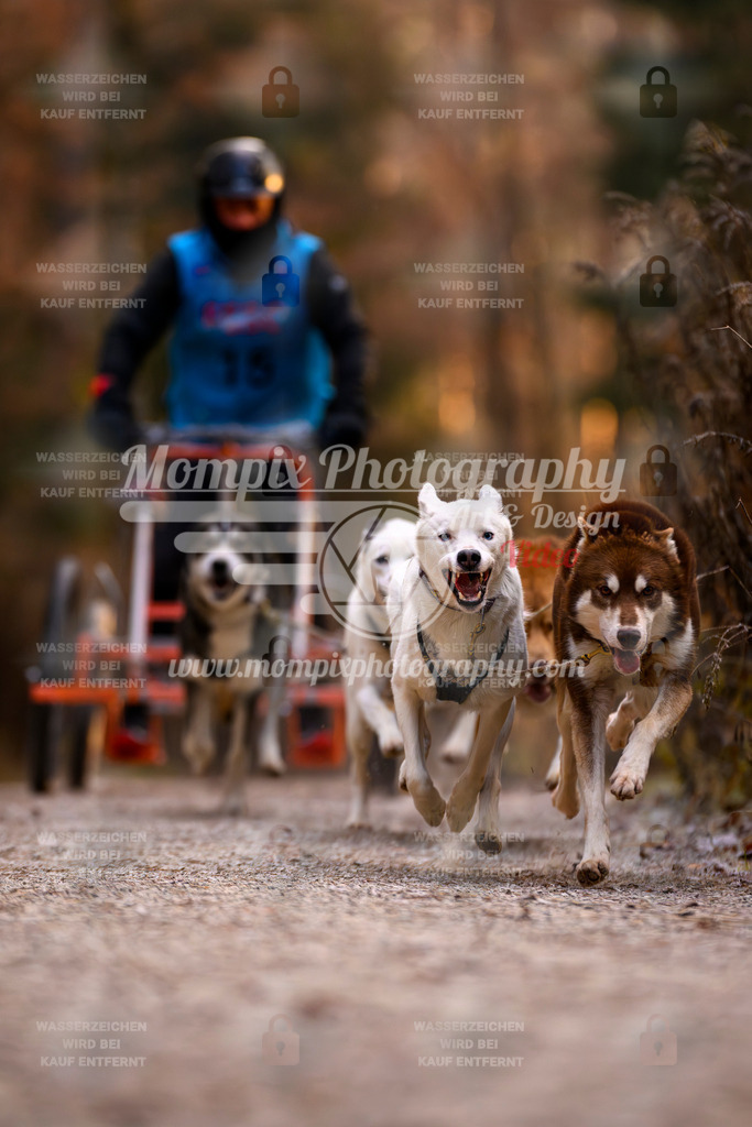 MompixPhotography_DM_AKDM_SO_2025_Wagen-24 | PayLife