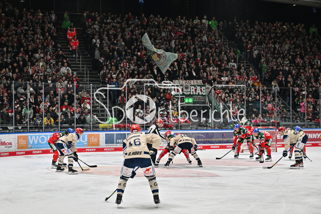 Augsburger Panther - Schwenninger Wild Wings | Das Spiel zwischen Augsburg und Schwenningen / Fans / Zuschauer / Symbolbild / DEL: Augsburger Panther - Schwenninger Wild Wings, Curt Frenzel Stadion am 02.02.2025