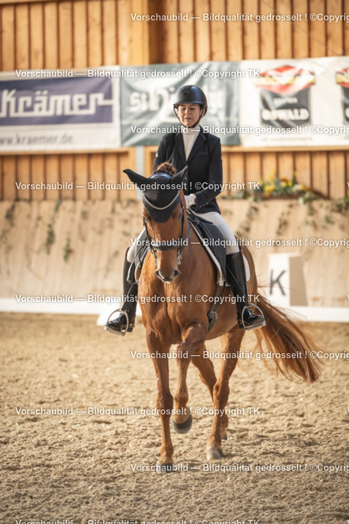 _D5A3201 | Emotionale Pferde- & People-Fotografie rund um Heidelberg, Leimen & Umgebung. Natürliche Fotos von Pferd, Mensch & Familie. Jetzt Termin sichern!