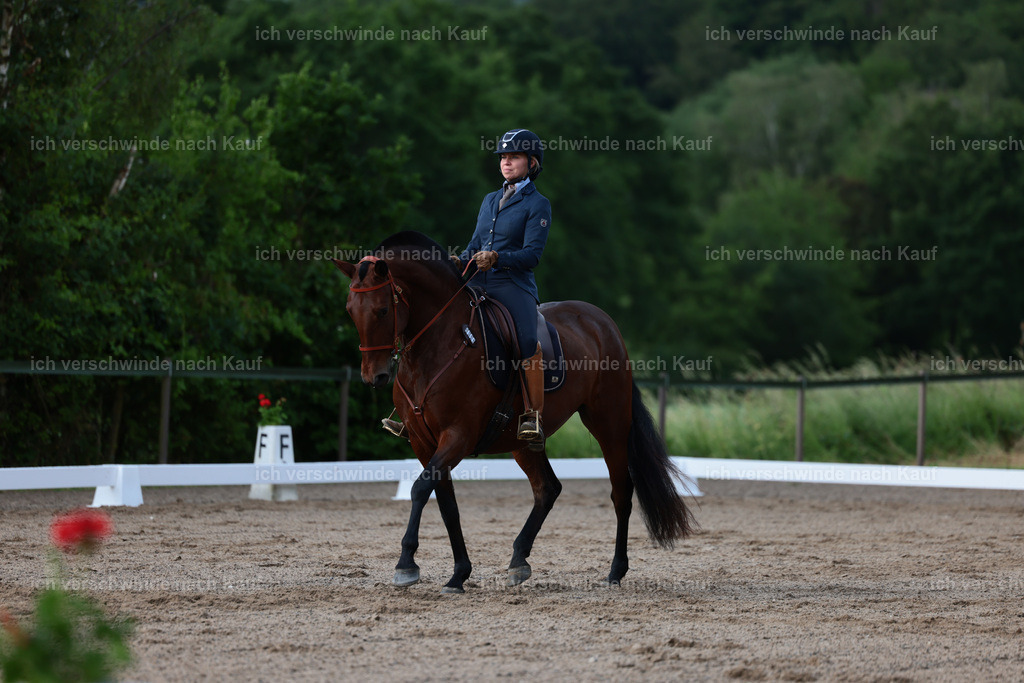 KlasseL_Stoibphotography_CAM20971.JPG | working equitationturnier fotograf videograf stoibphotography marixx film working equitation deutschland reitsport turnierfotografie eventfotografie equestrian events