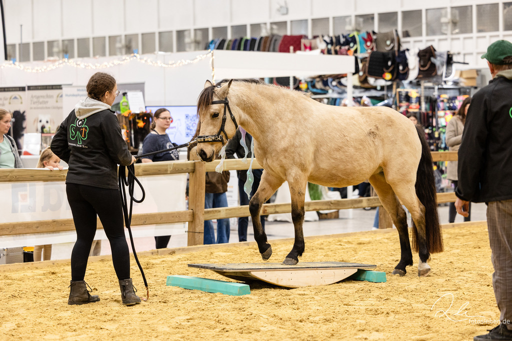 846A8974 | fotosleben - Realisiert mit Pictrs.com