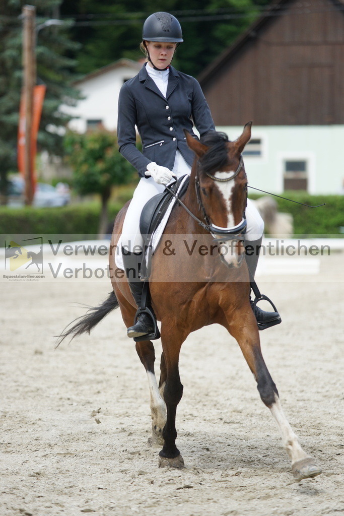DSC05378 | equestrian-live-com