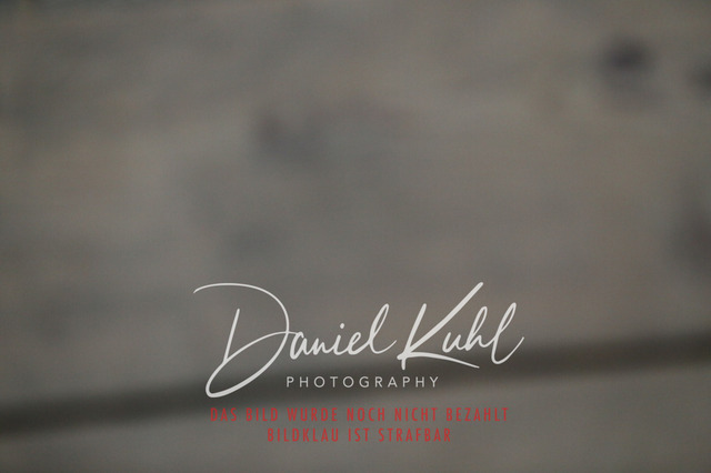 IMG_0729 | Turnierfotos kaufen im Webshop von Daniel Kuhl Photography – entdecke professionelle Reitsportfotos aus Turnieren & Events. Hochwertige Turnierbilder online bestellen & sichern. Jetzt Fotos von Reitsportturnieren kaufen!