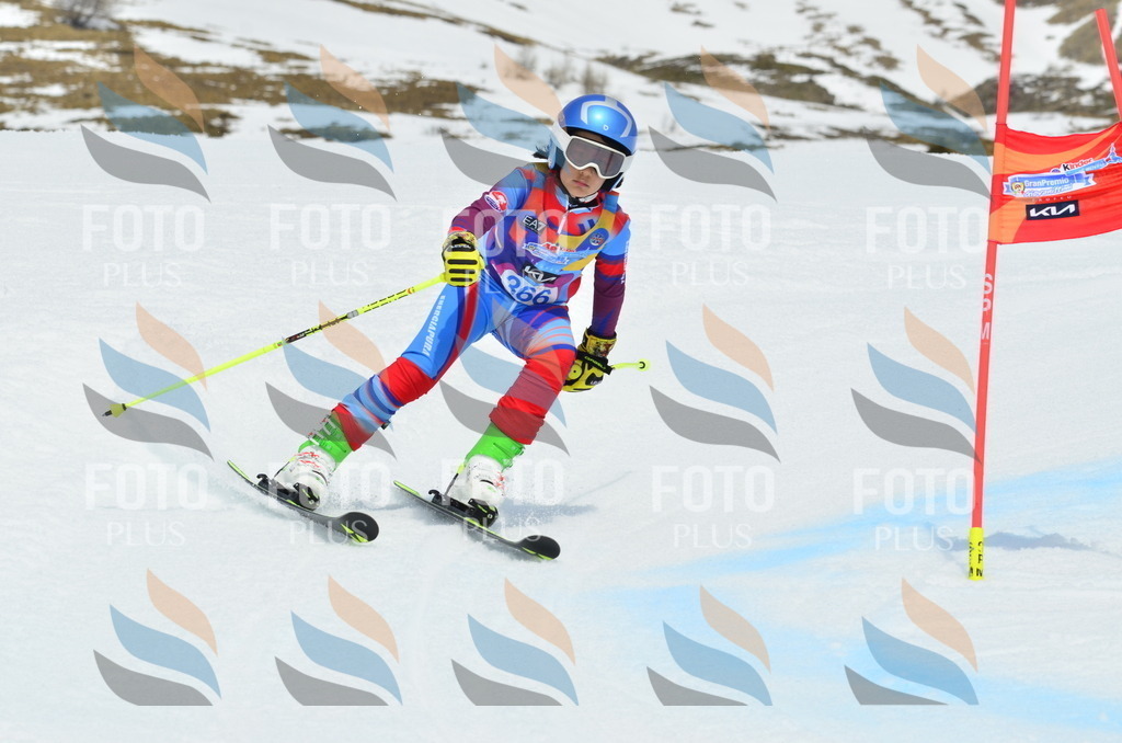 _ELE2958 | holidayphoto