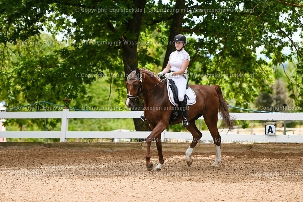 20230715_05_Dressurprüfung Kl.A++_0004 | equistock