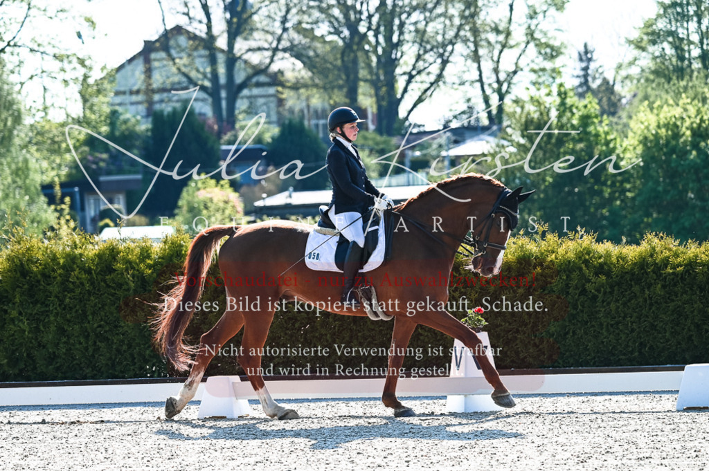 20230513_JK-Röhrsdorf-10-0001 | Pferde- und Turnierfotografie in Westsachsen. Pferdeportraits, Auftragszeichnungen und intuitive Kunst.