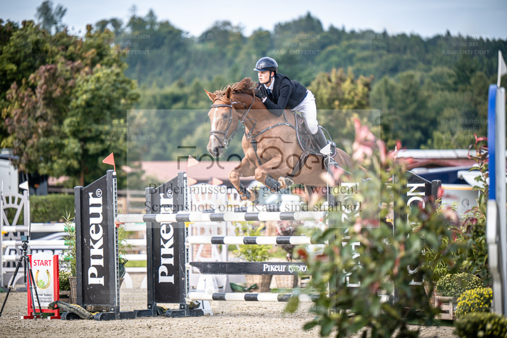 DOS_6468 | Entdecke hochwertige Reitturnierfotos von Foto Oger. Professionell, emotional und authentisch – jetzt Lieblingsmomente im Shop bestellen. - Realisiert mit Pictrs.com