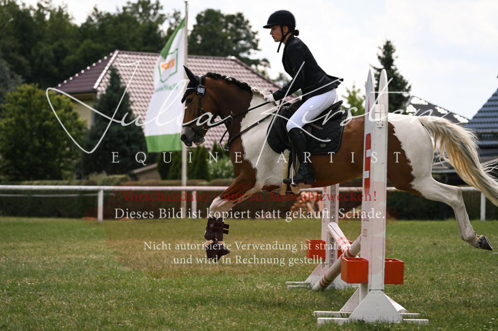 DSC_9338 | Pferde- und Turnierfotografie in Westsachsen. Pferdeportraits, Auftragszeichnungen und intuitive Kunst.