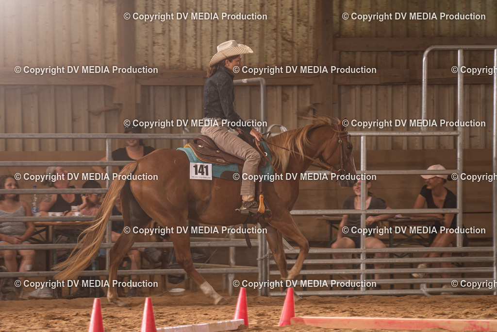 NID00752 | dv-media-shop - Realisiert mit Pictrs.com