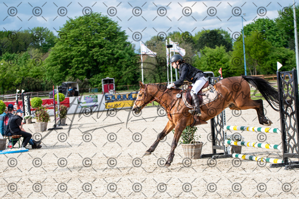 KPT_6657 | andre_photographic