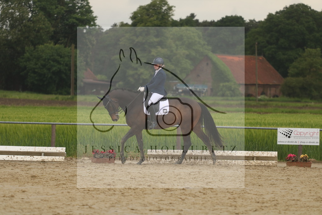 IMG_0014 | jessicahollubetz_pferdephotographie - Realisiert mit Pictrs.com