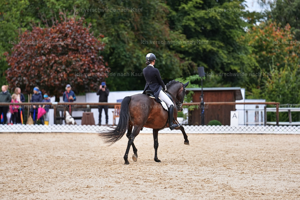 8_2-088-DRESSUR S_  -Marixx-4607 | working equitationturnier fotograf videograf stoibphotography marixx film working equitation deutschland reitsport turnierfotografie eventfotografie equestrian events