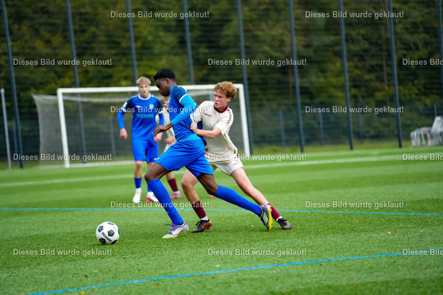 25396DF3-2D0B-4509-8E2D-2EDD98B9DBF3 | sportlensgraems - Realisiert mit Pictrs.com