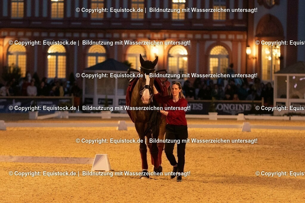 20230527_Voltigieren_NASPA_Flutlicht_0642 | equistock