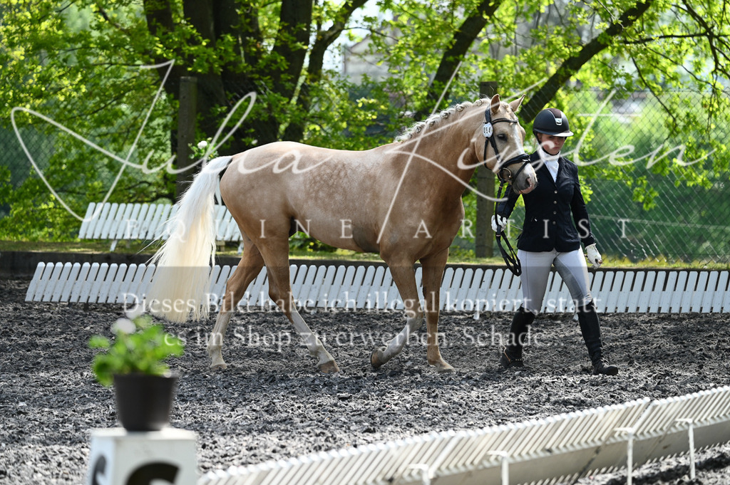 20230512_JK-Röhrsdorf-01-071 | Pferde- und Turnierfotografie in Westsachsen. Pferdeportraits, Auftragszeichnungen und intuitive Kunst.