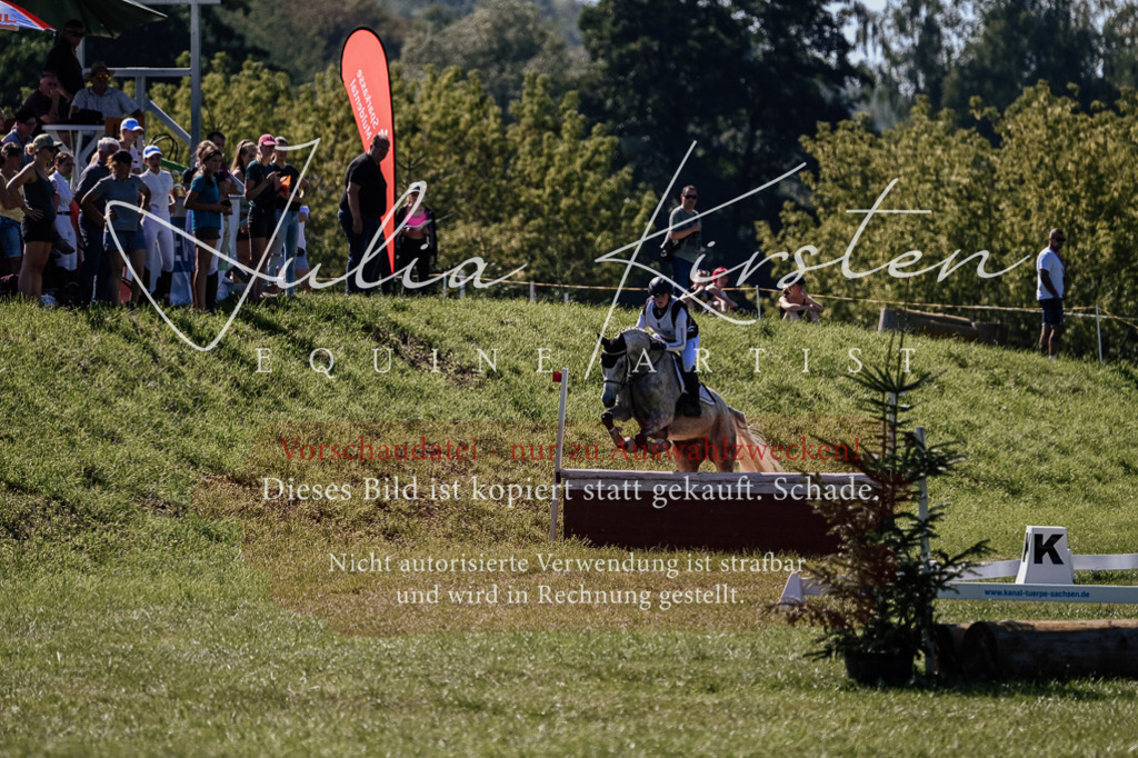 DSC_1394 | Pferde- und Turnierfotografie in Westsachsen. Pferdeportraits, Auftragszeichnungen und intuitive Kunst.