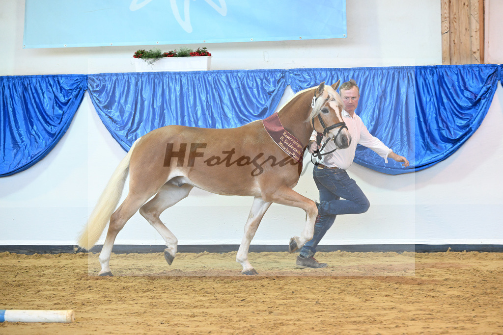 Kat-Nr. 9 Wilson P v. Wegas_Bleicher_60221617 | hf-fotografie - Realisiert mit Pictrs.com