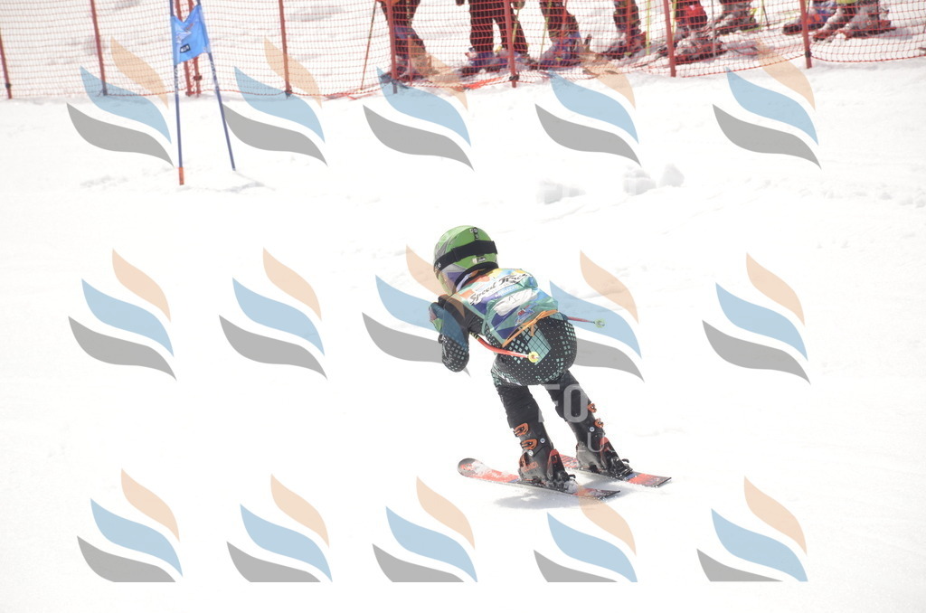 _ELE8458 | holidayphoto