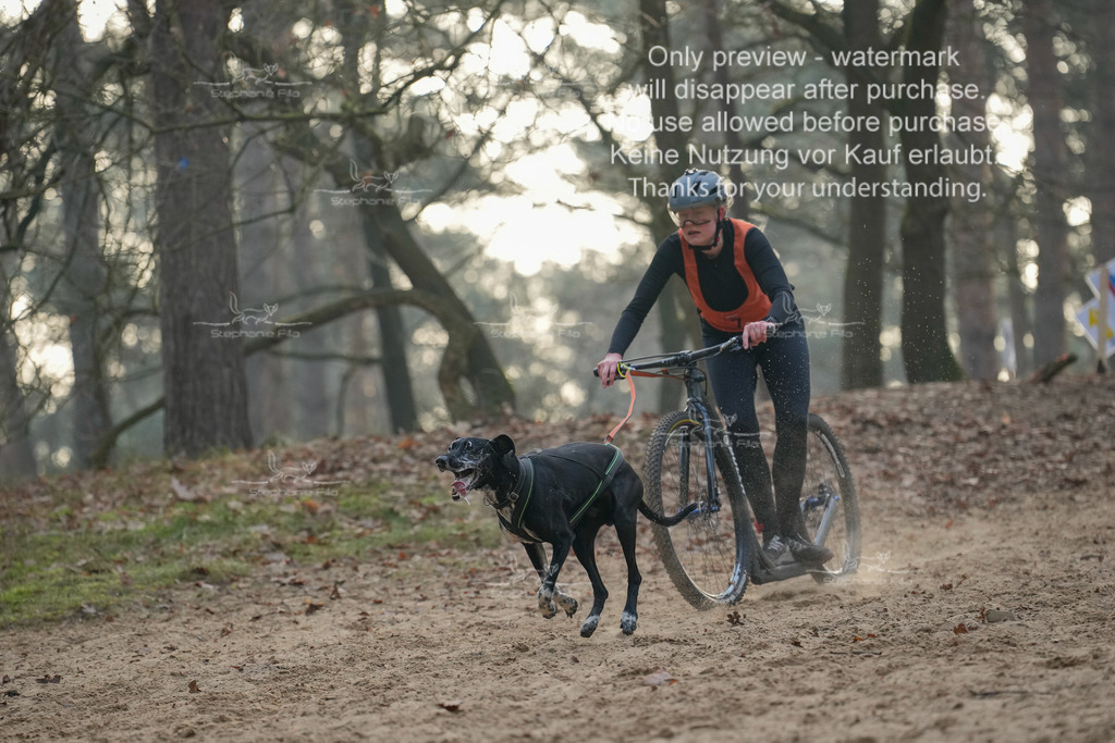 Scooter1-37 | stephaniefillaphotographie - Realisiert mit Pictrs.com