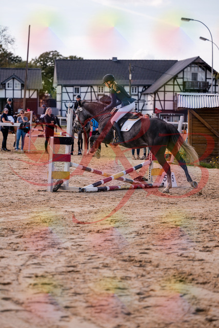 2026_10_03_Siefer-Hof_144928_Z81_27434820 | Professionelle Reitsport-, Turnier- und Eventfotografie von Robert Broda. Galerien mit ausgewählten und bearbeiteten Bildern direkt online ansehen und bestellen.