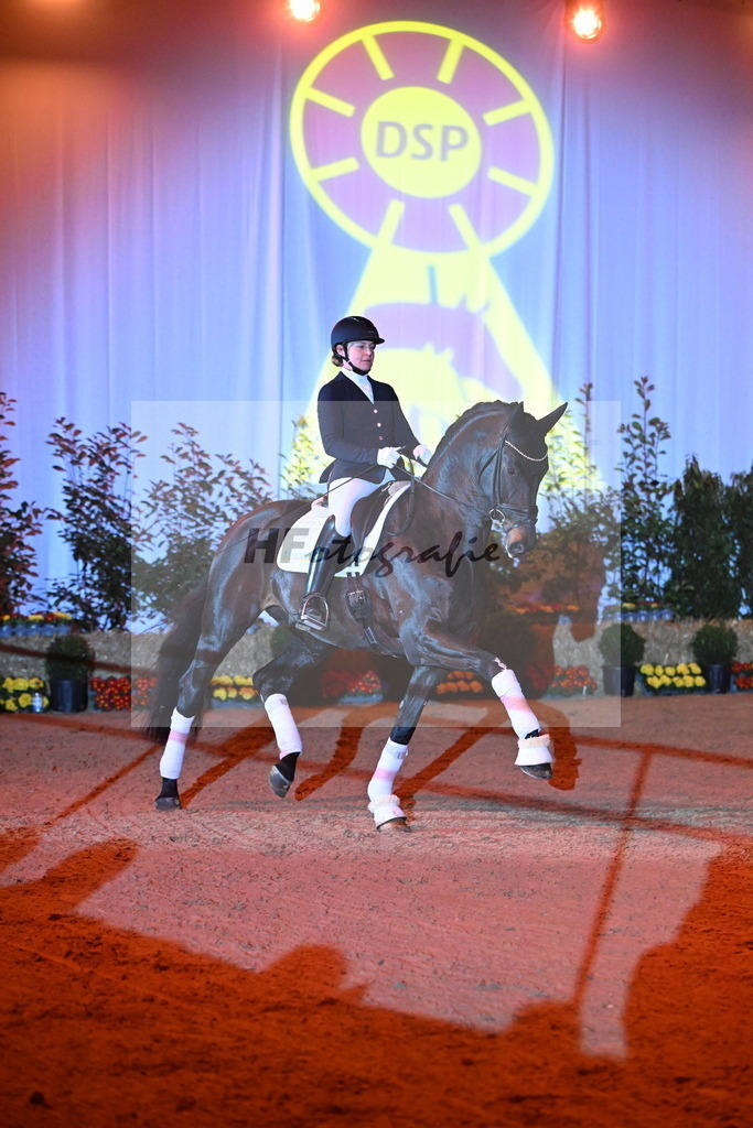 San__Haug_3262086 | hf-fotografie - Realisiert mit Pictrs.com