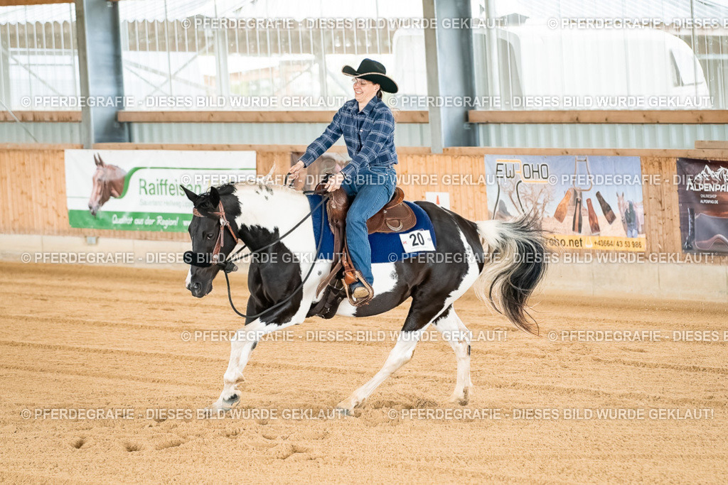 DSC02703 | Pferdegrafie