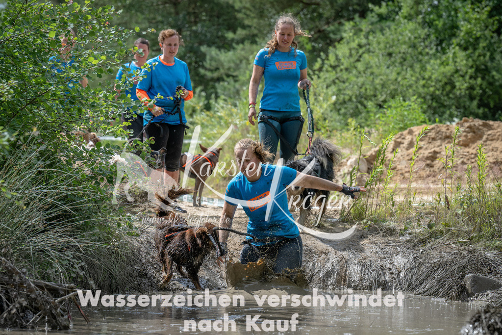 1118_ZZ91231 | kk-dogfotos