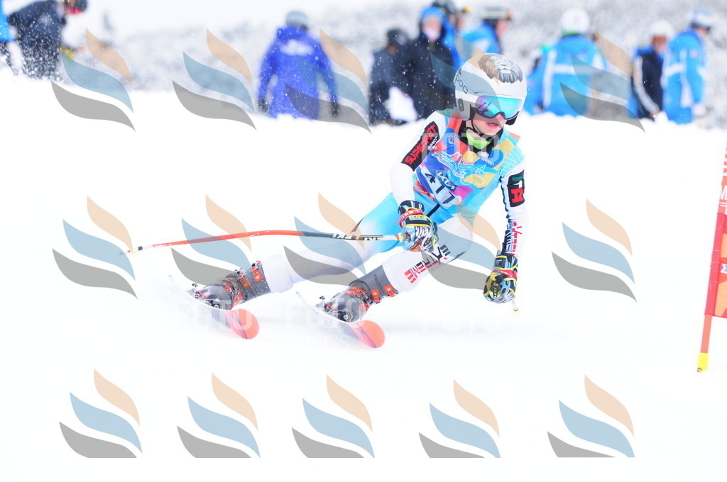 C4324 | holidayphoto