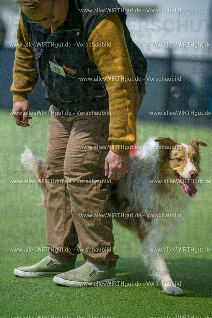 7R500534 | Professionelle Tierfotografie in Mönchengladbach von Daniel Wirth (allesWIRTHgut). Liebevolle & natürliche Bilder von Hunden & Katzen für unvergessliche Erinnerungen.