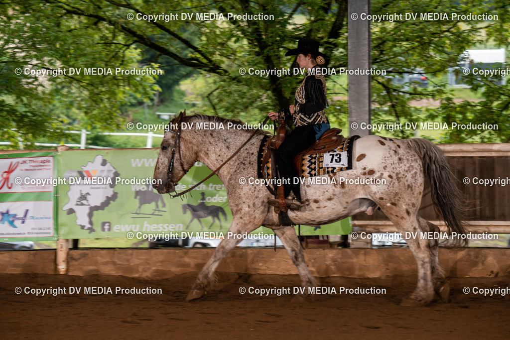 Erbach Tag 4-300 | dv-media-shop - Realisiert mit Pictrs.com