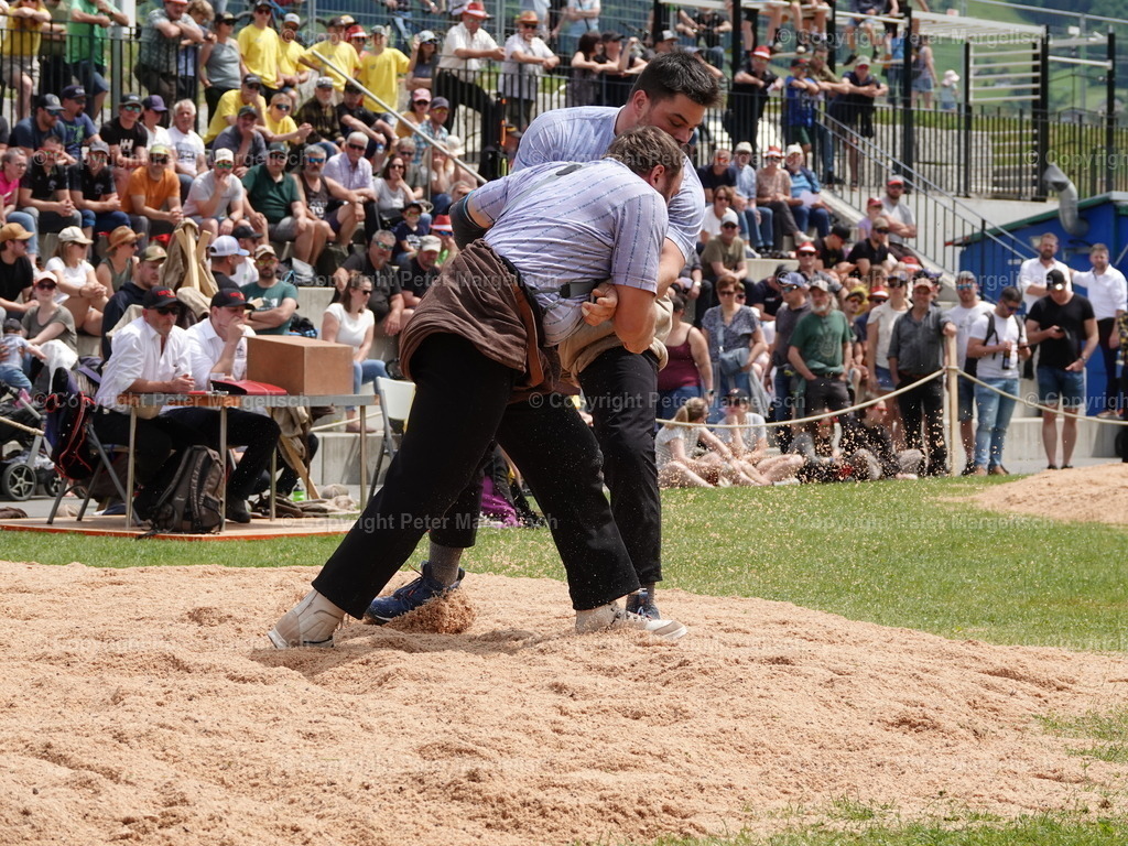 DSC07447 | Schwingen - Realisiert mit Pictrs.com