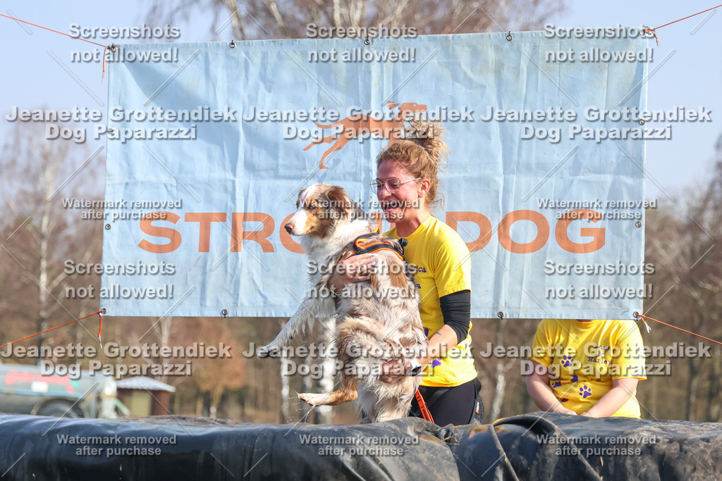 Dog Paparazzi - Strongdog North Mrz26-2389 | Dog Paparazzi Jeanette Grottendiek Fotografie & Videografie - Realisiert mit Pictrs.com