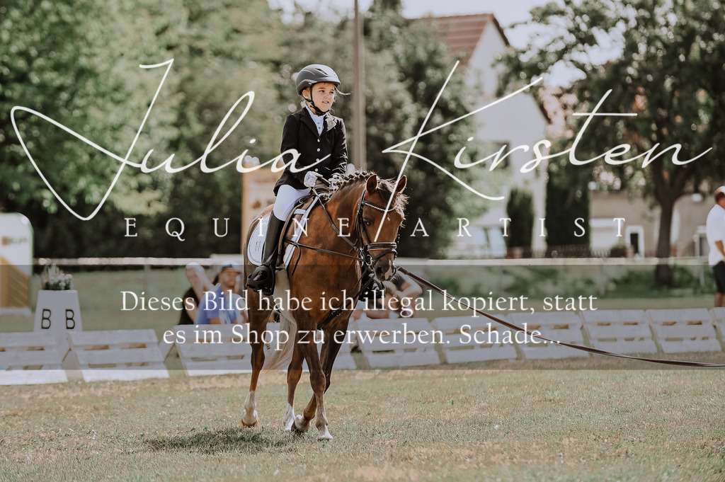 DSC_7600 | Pferde- und Turnierfotografie in Westsachsen. Pferdeportraits, Auftragszeichnungen und intuitive Kunst.