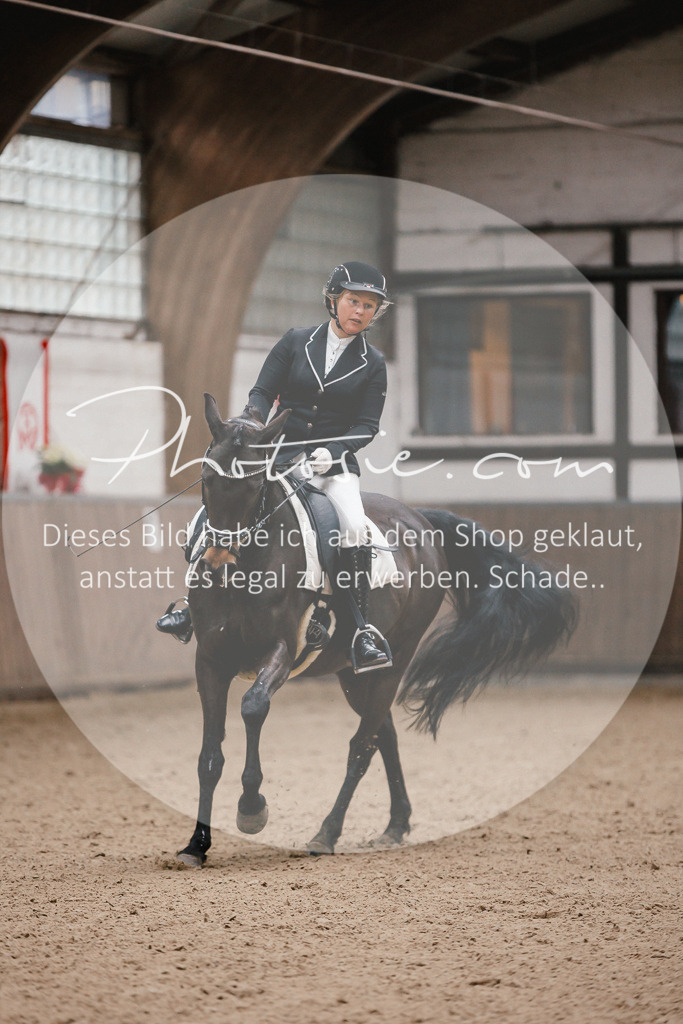 3I6A6526 | Stimmungsvolle Portraits und Reitsportfotografie im Ruhrgebiet und im Münsterland.

Pferdefotografie, Hundefotografie, Tierfotografie, Reportagen, Portraits von Tier und Mensch, Turnierfotografie in Bochum, Recklinghausen, Marl, Haltern am See, Dülmen.. - Realisiert mit Pictrs.com