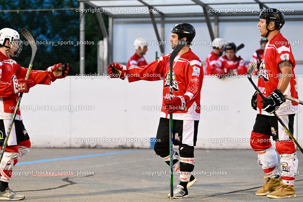 Team Zehenthof vs. HSC Eagles 14.7.2023 | Jubel HSC Eagles Mannschaft, #12 Lamereiner Leon, #47 Witting Marcel, #82 Willhelmer Philipp
