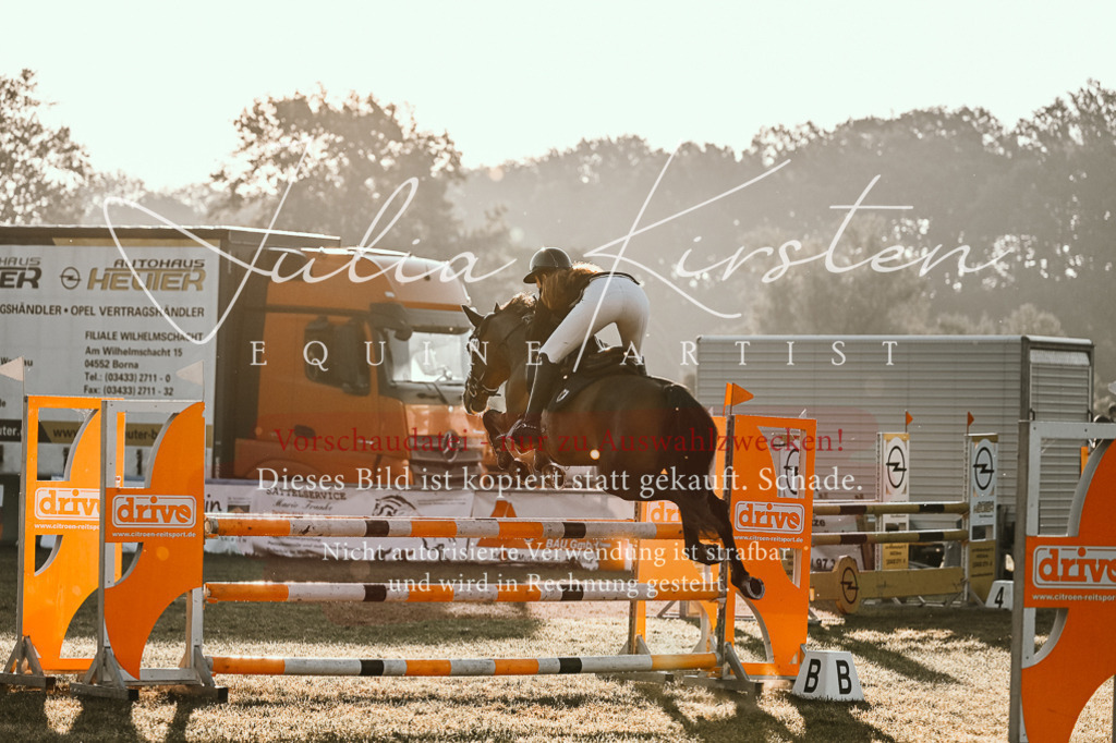 DSC_3727 | Pferde- und Turnierfotografie in Westsachsen. Pferdeportraits, Auftragszeichnungen und intuitive Kunst.