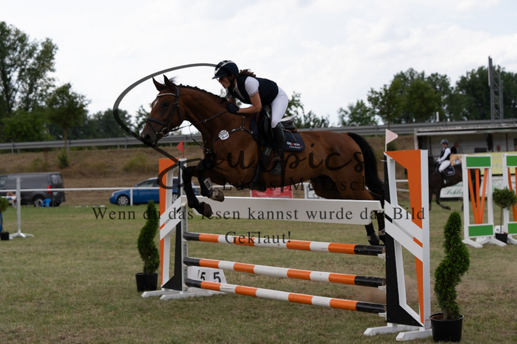 A7V02503 | Pferdefotograf