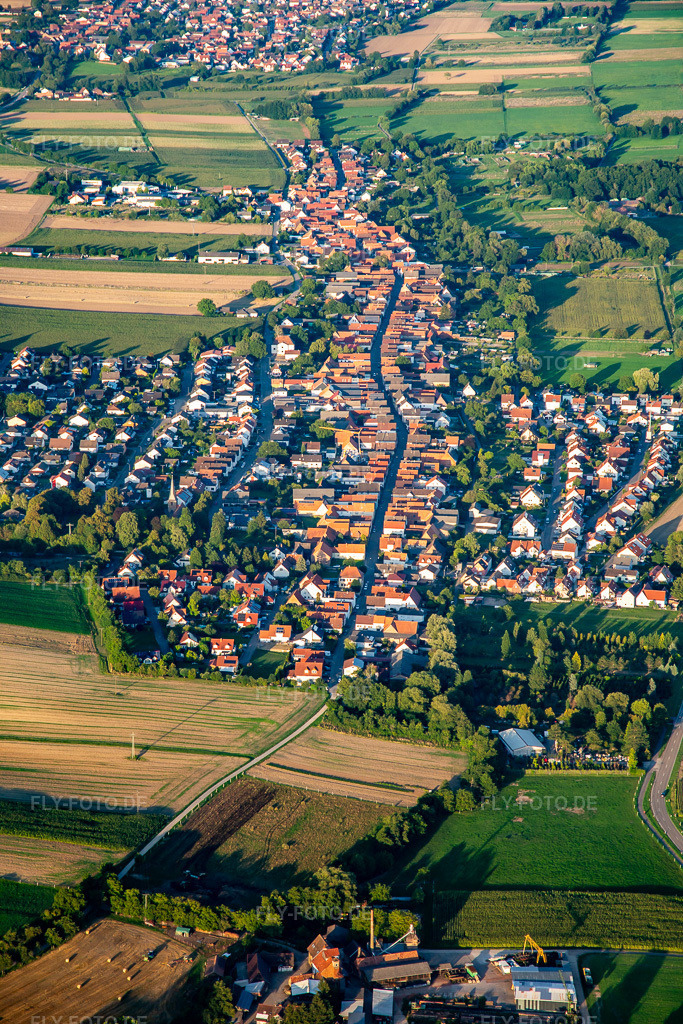 Luftbild: Ortsansicht von Westen in Freckenfeld im Bundesland Rheinland-Pfalz in Deutschland. Foto: IMG_137673.jpg vom 11.08.2023 durch Werner Riehm/FLY-FOTO.de