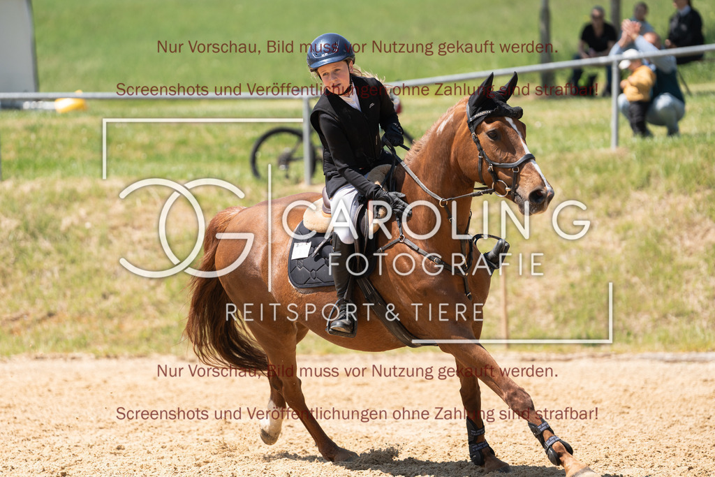DSC04547 | Springturnier_Ehingen_Mai_2026, Franziska_Niedermeier, Karzalis