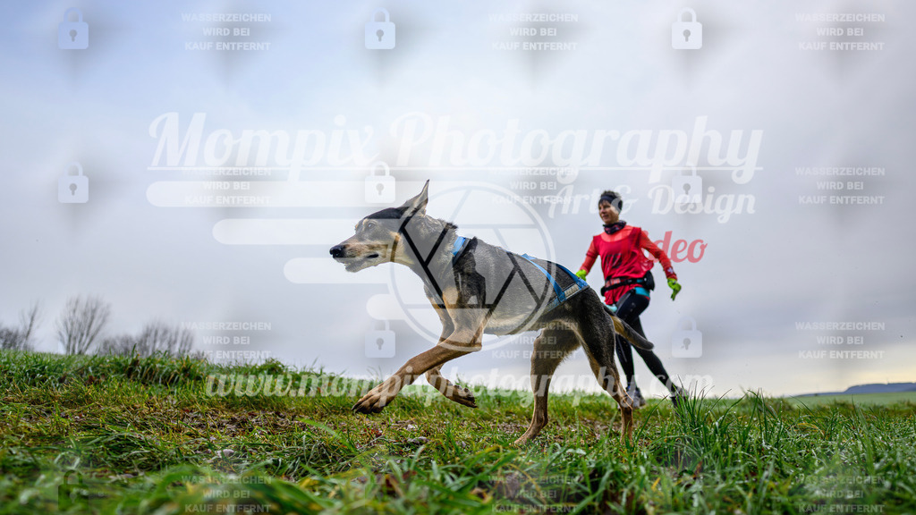 MompixPhotography_Staufertrail2024_SO_Canicross-1 | PayLife