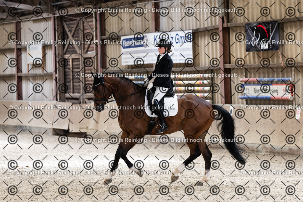 CL5A1352 | Emilia Reinking Fotografie - Realisiert mit Pictrs.com