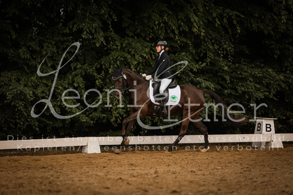 DoDrA00560 | Leoni Ertmer Photography - Realisiert mit Pictrs.com