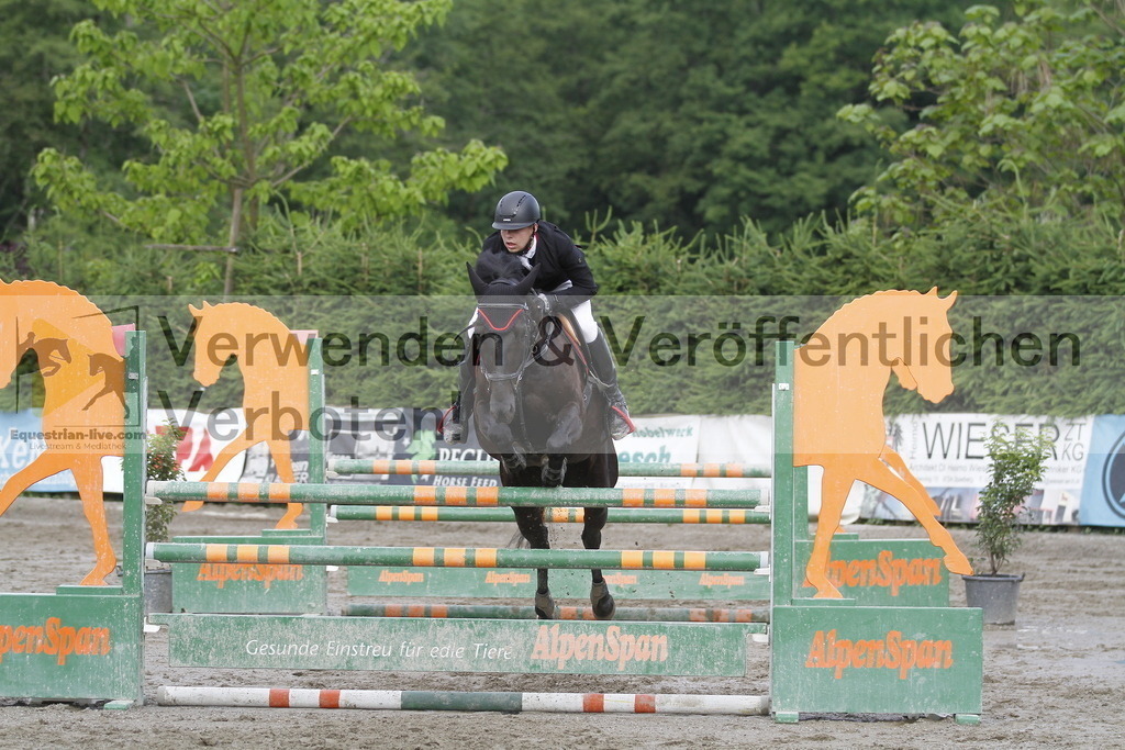 _MG_2994 | equestrian-live-com