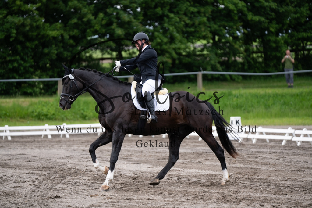 A7V03721 | Pferdefotograf