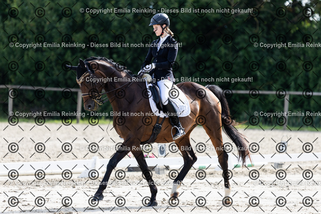 CL5A5697 | Emilia Reinking Fotografie - Realisiert mit Pictrs.com