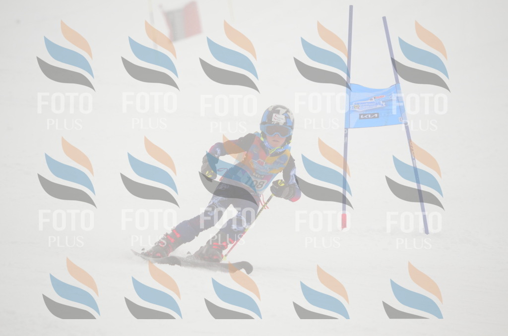 C1446 | holidayphoto