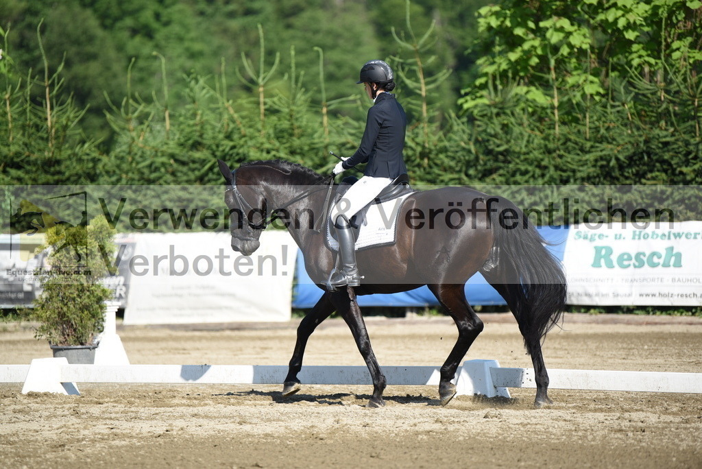 DSC_7361 | equestrian-live-com
