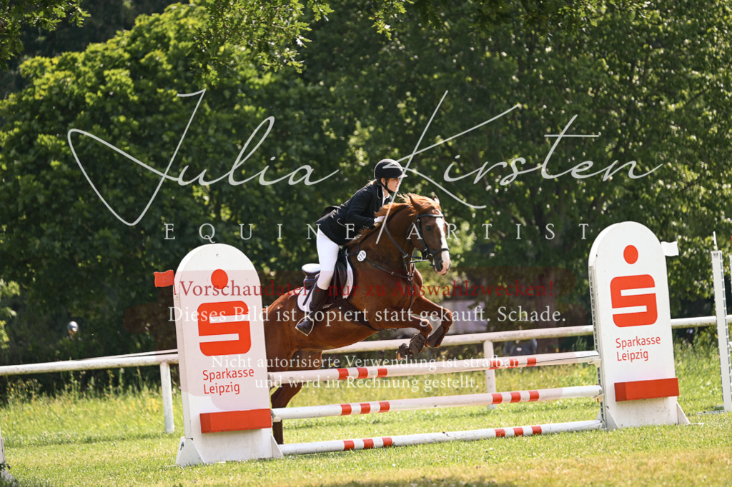 DSC_9036 | Pferde- und Turnierfotografie in Westsachsen. Pferdeportraits, Auftragszeichnungen und intuitive Kunst.