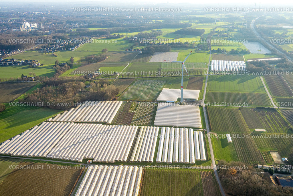 Bottrop251204083Kirchhellen | Luftbild, Gewächshäuser Bromkamp Gartenbau und Landschaftsgestaltungs GmbH, Overhagener Feld mit Windrad, Kirchhellen-Nord-Ost, Bottrop, Ruhrgebiet, Nordrhein-Westfalen, Deutschland